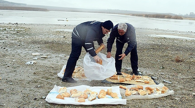 DOĞADAKİ HAYVANLARA YEM BIRAKTILAR