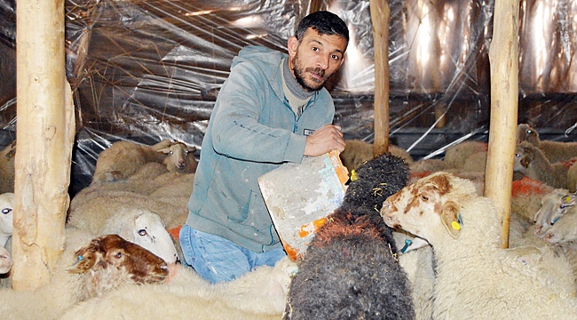 ESKİ HÜKÜMLÜ İŞKUR DESTEĞİYLE SÜRÜ SAHİBİ OLDU