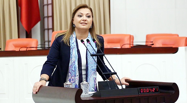 MİLLETVEKİLİ KÖKSAL, EBER GÖLÜNÜ SORDU