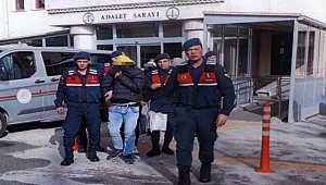 NE BULDUYSA ÇALDI