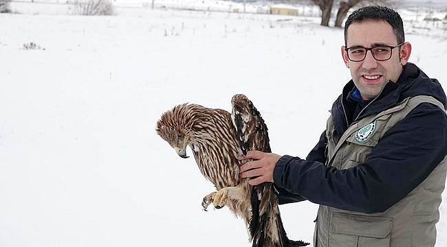 SAĞLIĞINA KAVUŞAN ŞAH KARTALI DOĞAYA SALINDI