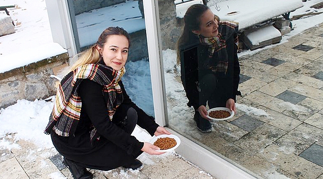 SOKAK HAYVANLARINI UNUTMADILAR