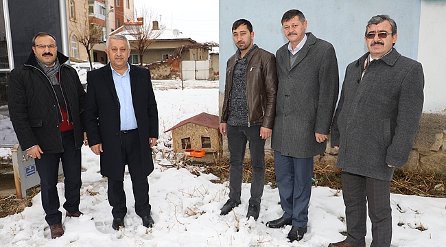 SOKAK KEDİLERİ YUVALARINA KAVUŞUYOR