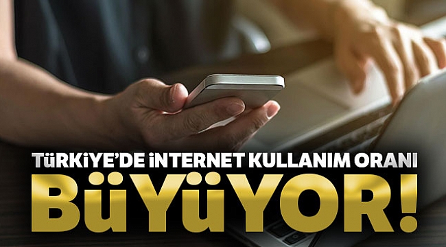 Türkiye'de internete erişim oranı yüzde 88 oldu