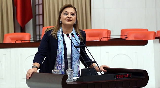 UYGUR TÜRKLERİ İÇİN MECLİS ARAŞTIRMA TALEBİ