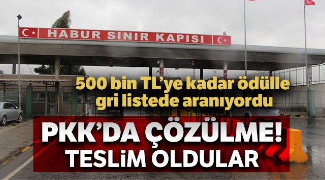 5 terörist daha güvenlik güçlerine teslim oldu