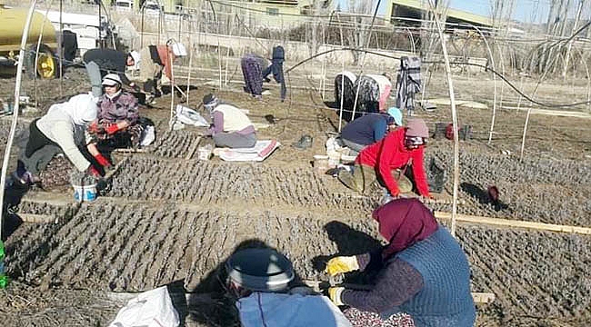 İSTİHDAM KAYNAĞI OLDU