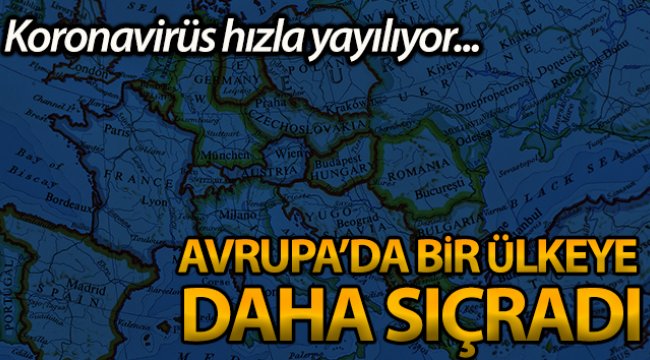 İsviçre'de ilk korona virüsü vakası