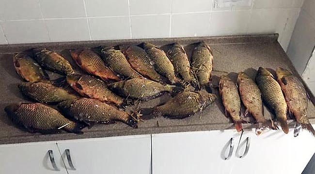 Kaçak balık avlayanlar yakalandı