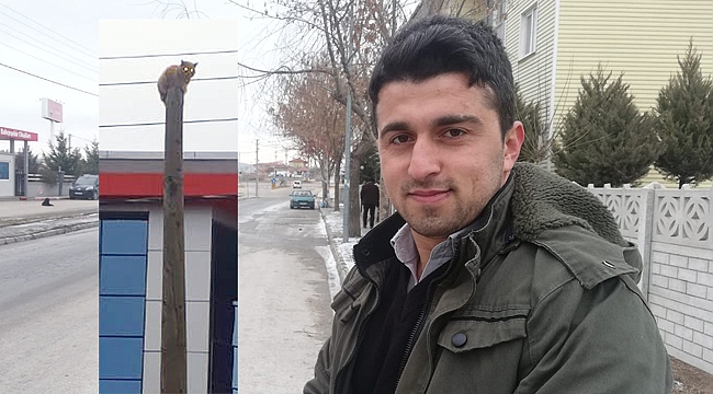 KEDİ DONMAKTAN SON ANDA KURTARILDI