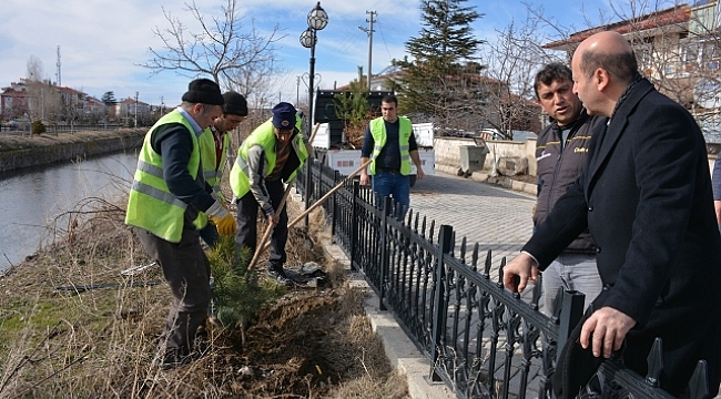 Peyzaj çalışmaları başlatıldı
