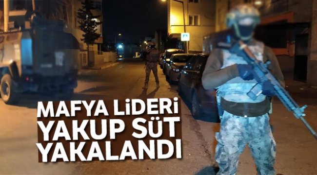 Suç örgütü lideri Yakup Süt ve adamlarına operasyon: 53 gözaltı