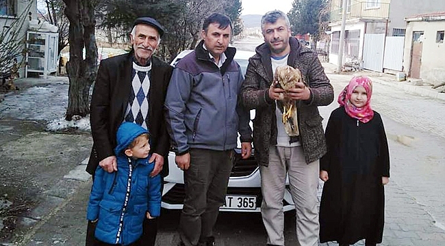 YARALI HALDE BULUNAN KIZIL ŞAHİN TEDAVİYE ALINDI