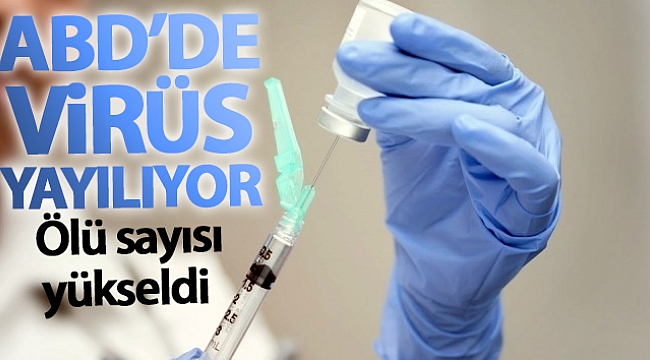 ABD'de ölü sayısı artıyor
