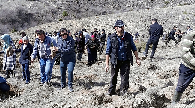 AĞAÇ BAYRAMI PROGRAMI GERÇEKLEŞTİRİLDİ