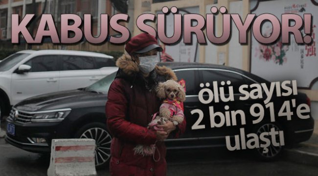 Çin'de korona nedeniyle ölü sayısı 2 bin 914'e ulaştı