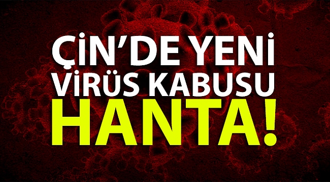 Çin'de yeni virüs kabusu