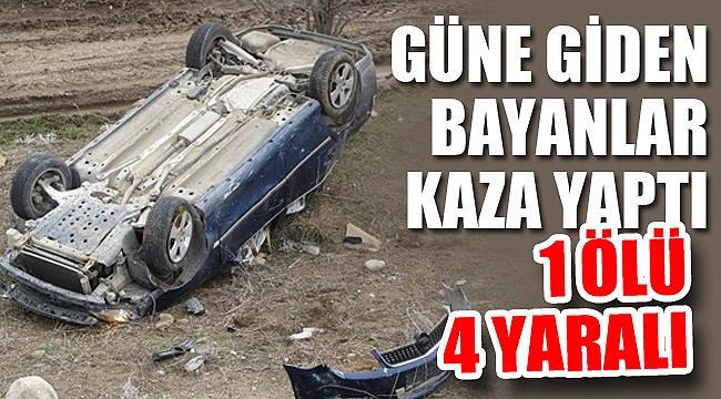 GÜNE GİDEN BAYANLAR KAZA YAPTI