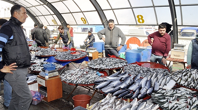 HAMSİ 10 LİRAYA KADAR DÜŞTÜ