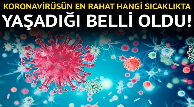 Koronavirüsün en çok yaşadığı sıcaklık derecesi belli oldu