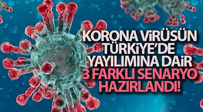 Koronavirüsün Türkiye'de yayılımına dair 3 senaryo hazırlandı