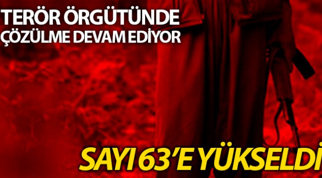 Terör örgütünden ikna yoluyla teslim olmalar devam ediyor