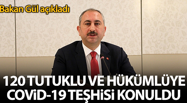 Bakan Gül: '120 tutuklu ve hükümlüye Covid-19 tanısı konuldu'