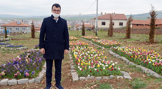 FRİGYA ÇİÇEK BAHÇESİ RENGARENK