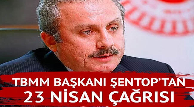 Meclis Başkanı'ndan vatandaşlara 23 Nisan çağrısı