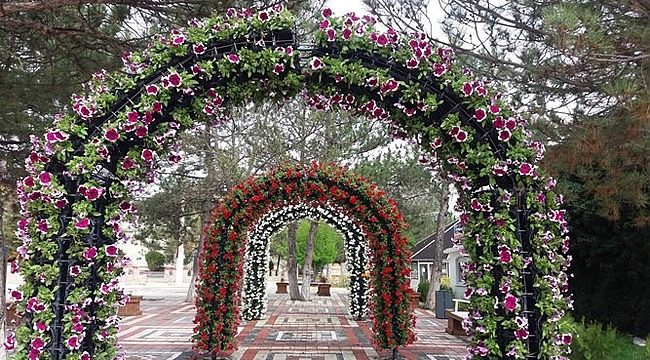 PEYZAJ ÇALIŞMALARI DEVAM EDİYOR
