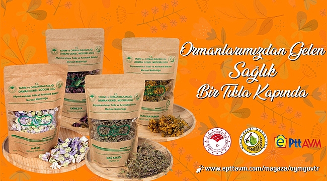BİTKİ ÇAYLARI PTTAVM'DE SATIŞTA