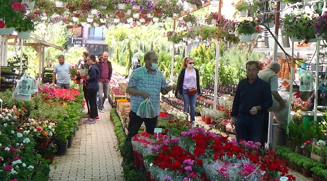 Erkmen çiçek seraları doldu taştı