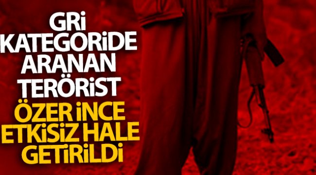 Gri kategoride aranan terörist Özer İnce etkisiz hale getirildi