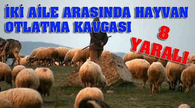 İKİ AİLE ARASINDA HAYVAN OTLATMA KAVGASI: 8 YARALI