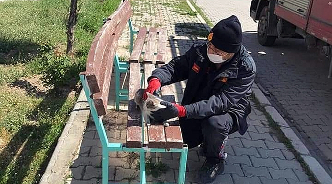 İTFAİYEDEN KEDİ KURTARMA OPERASYONU