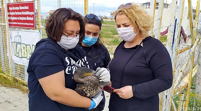 KANADI KIRIK KARABATAK TEDAVİ ALTINDA