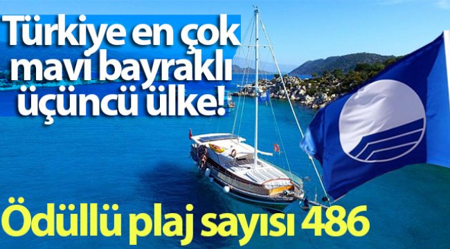 Mavi bayrakta dünya üçüncüsü Türkiye'nin ödüllü plaj sayısı 486 oldu