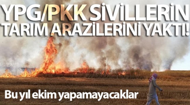 YPG/PKK Deyrizor’da sivillerin tarım arazilerini yaktı