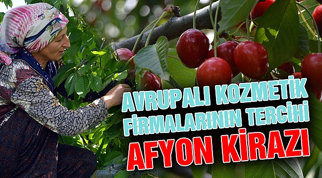 AVRUPALI FİRMALARIN TERCİHİ AFYON KİRAZI