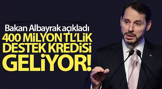 Bakan Albayrak: 'İthalatı azaltıp, ihracatı artıracak yatırımları desteklemeye devam ediyoruz'