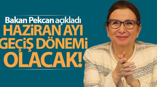 Bakan Pekcan: 'Yatırımcılarımıza her türlü desteği vermeye hazırız'