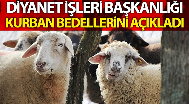 Diyanet İşleri kurban bedellerini açıkladı