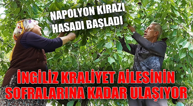 İNGİLİZ KRALİYET AİLESİNİN SOFRALARINA KADAR ULAŞIYOR