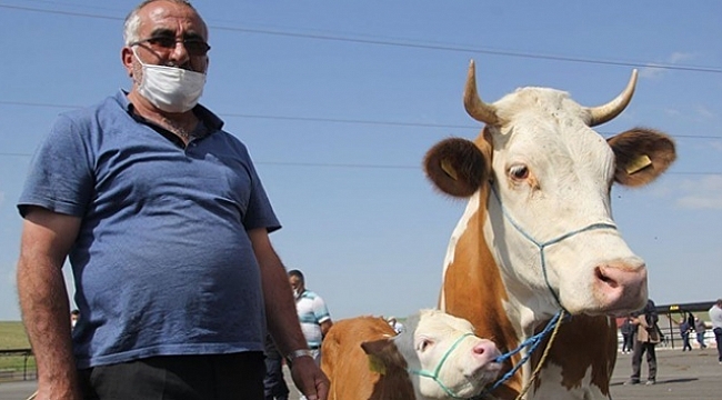KURBAN TEDBİRLERİ AÇIKLANDI