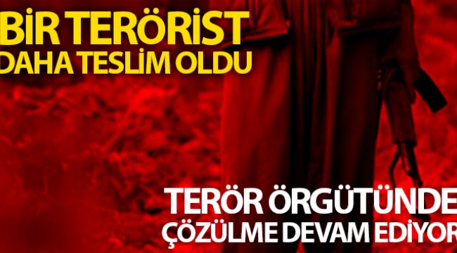 Mardin'de bir terörist ikna sonucu teslim oldu