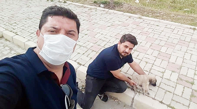 OTOMOBİL ÇARPTI, VATANDAŞ SAHİP ÇIKTI