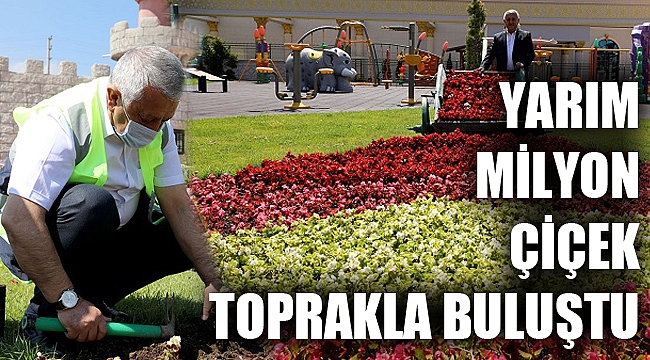 YARIM MİLYON ÇİÇEK TOPRAKLA BULUŞTU