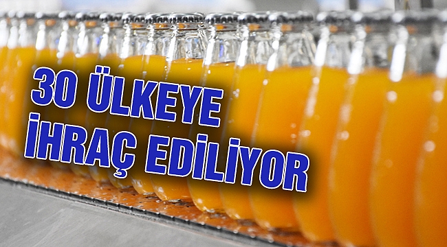 30 ÜLKEYE MADENSUYU İHRACAATI