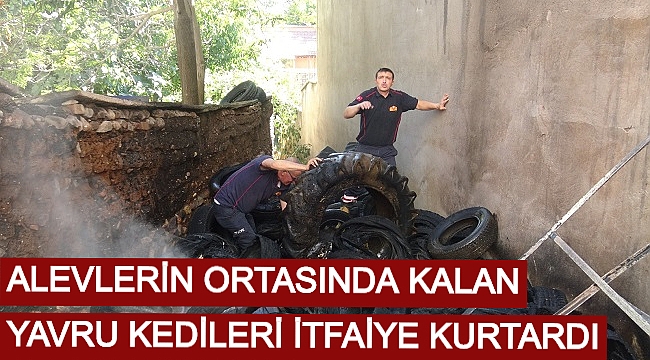 ALEVLERİN ORTASINDA KALAN YAVRU KEDİLERİ İTFAİYE KURTARDI