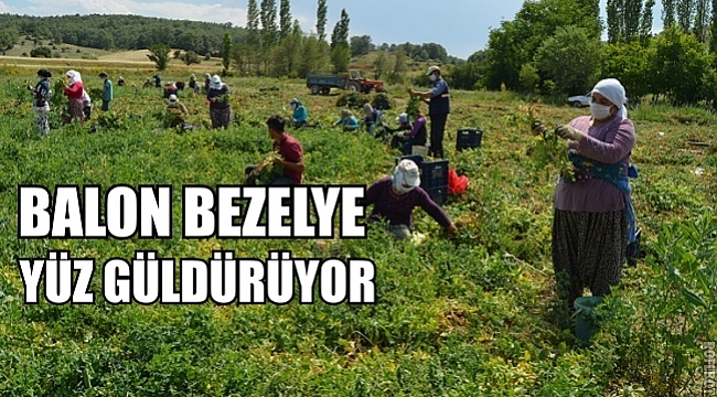 BALON BEZELYE YÜZ GÜLDÜRÜYOR